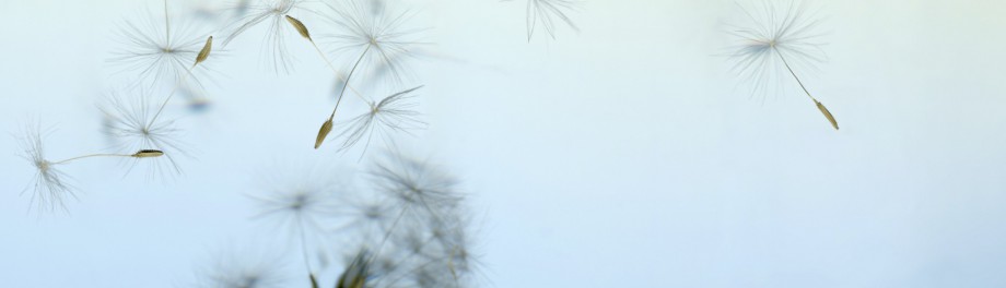 Leicester and Notts Celebrant